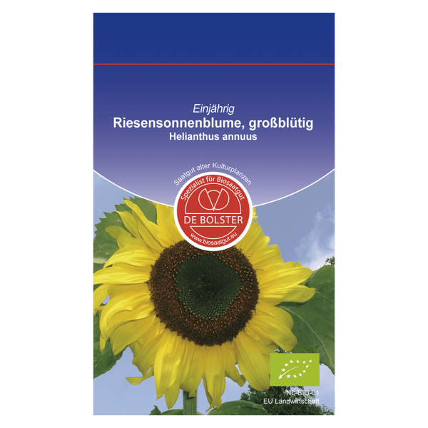 DE Bolster Bio Großblütige Sonnenblume