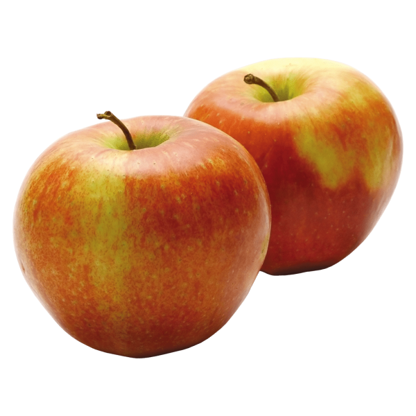 Frischesortiment Bio Apfel Pinova, 1 kg
