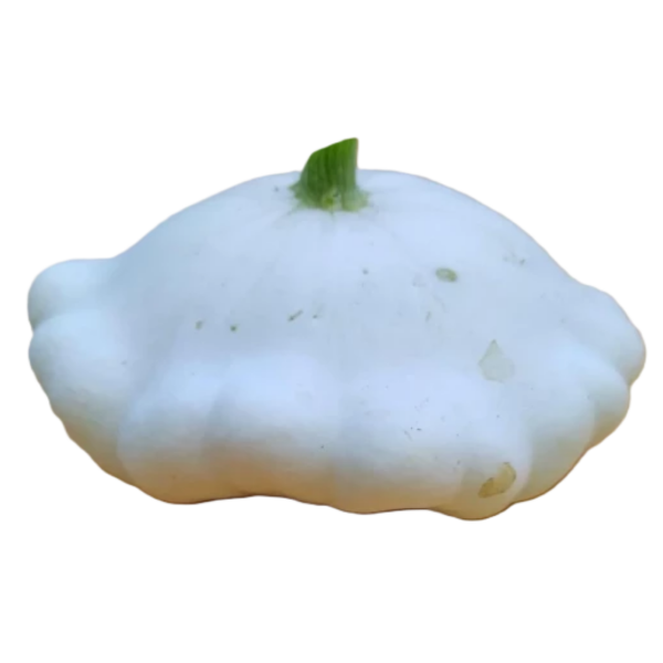 Frischesortiment Bio Ufo Patisson Kürbis, 1 kg