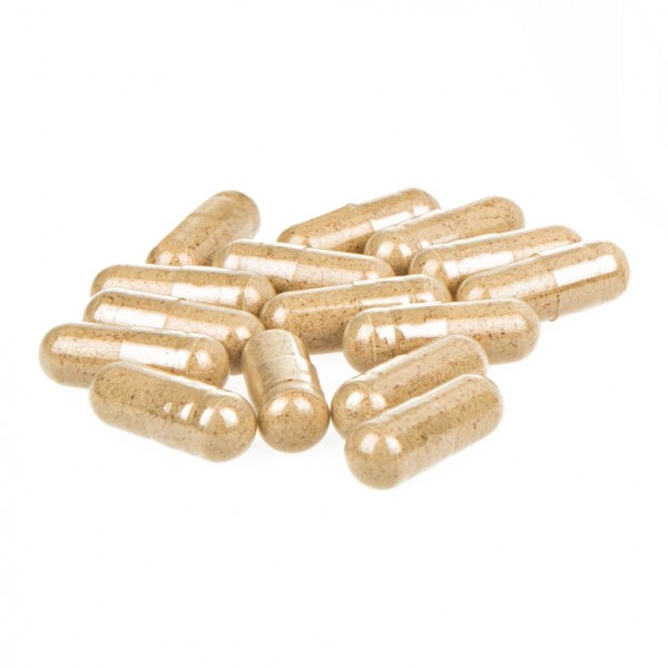 MYKOFIT® Bio Cordyceps Kapseln