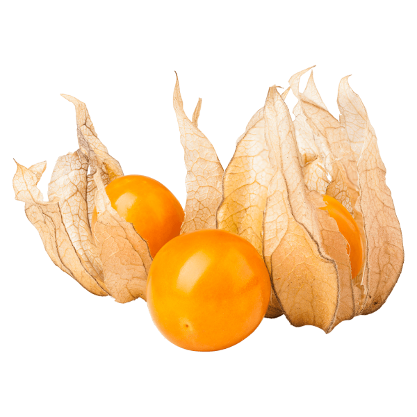 Frischesortiment Bio Physalis, 100g