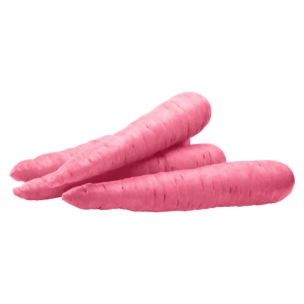 Frischesortiment Bio rote Möhren Ruby Prince, 1 kg