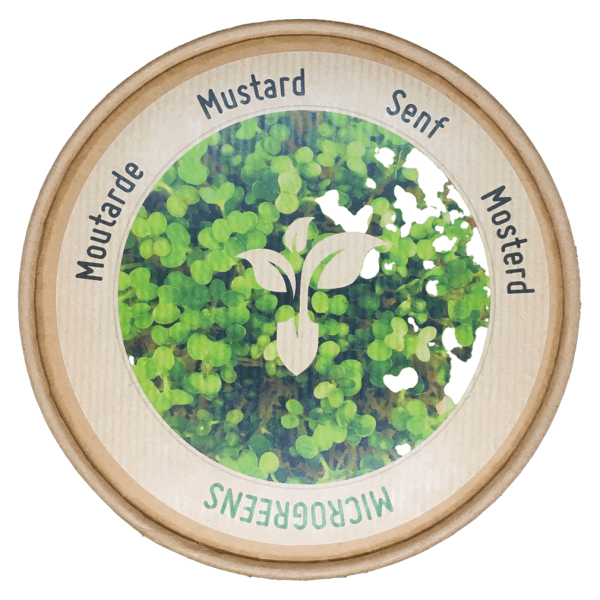 Gronest Grow-Win Bio Mikrotrieb-Kit Sprossenanzucht Set