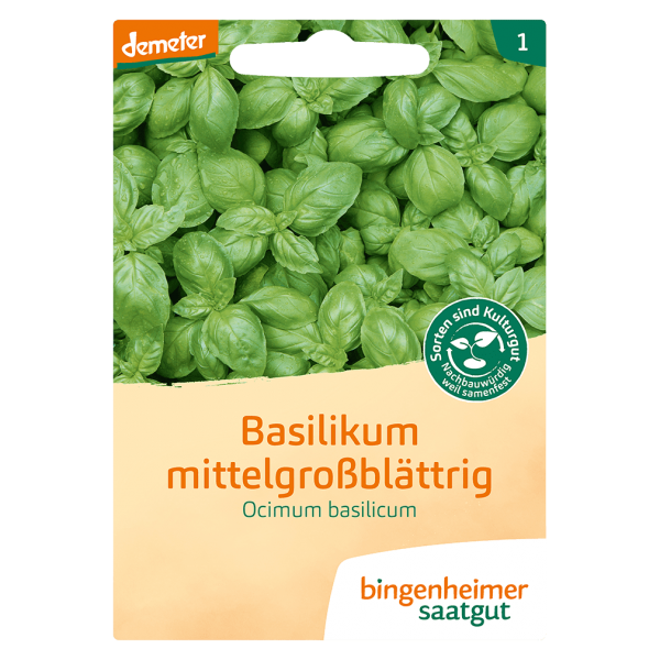 Bingenheimer Saatgut Bio Basilikum mittelgroßblättrig