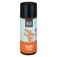 DALIO Aufbau Spülung Ingwer DALIO Aufbau Spülung Ingwer