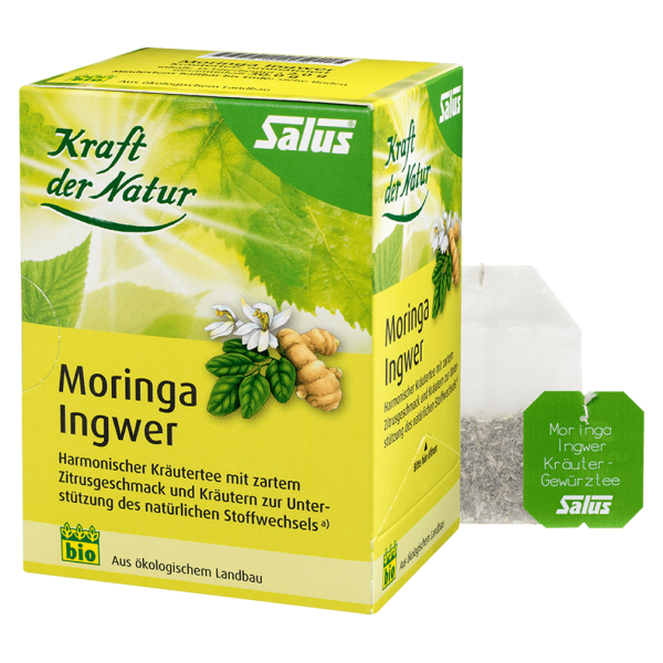 Salus Bio Moringa Ingwer Kräutertee