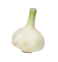 Frischesortiment Bio Knoblauch frisch, 500g Frischesortiment Bio Knoblauch frisch, 500g