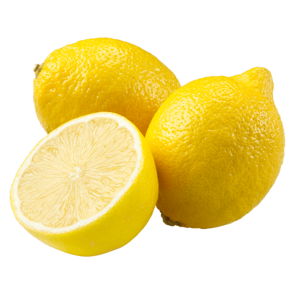 Frischesortiment Bio Zitronen, 500g