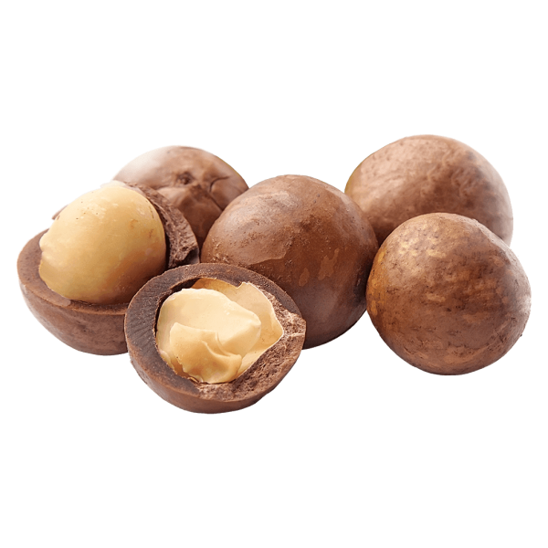 Frischesortiment Bio Macadamia Nüsse mit Schale, 1 kg