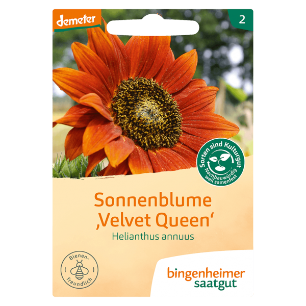 Bingenheimer Saatgut Bio Sonnenblume Velvet Queen