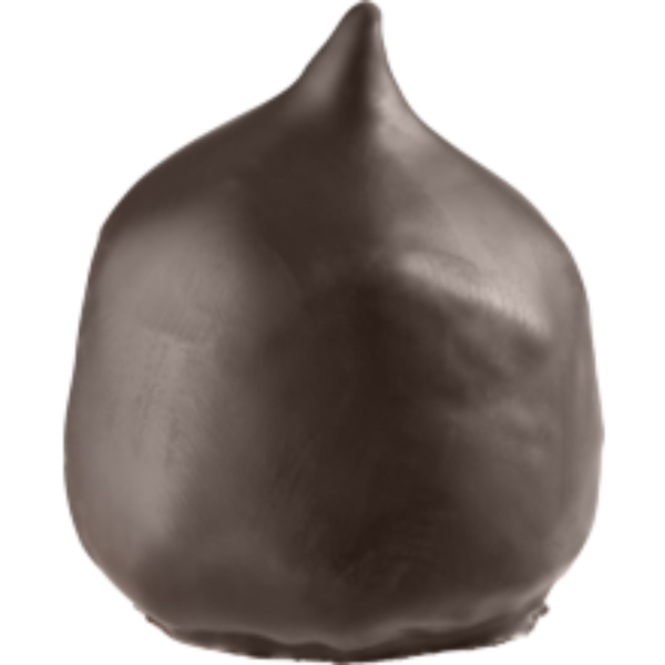 Rosmarin Bio Mozartzipfel