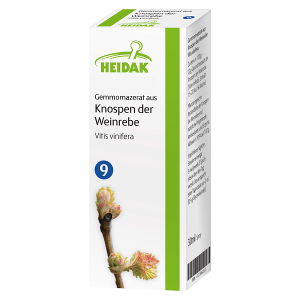 Heidak Gemmomazerat aus Knospen der Weinrebe