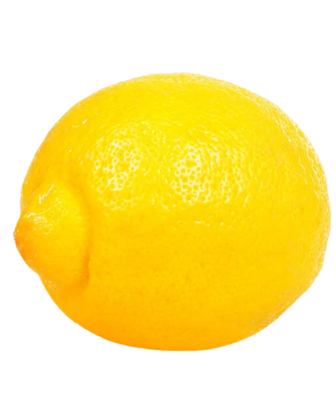 Frischesortiment Bio Zitrone Amalfi, 1 Stück
