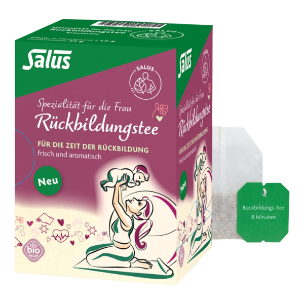 Salus Bio Rückbildungstee, 15 Beutel