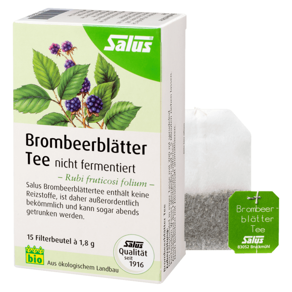 Salus Bio Brombeerblätter Tee