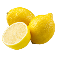 Frischesortiment Bio Zitronen, 500g Frischesortiment Bio Zitronen, 500g