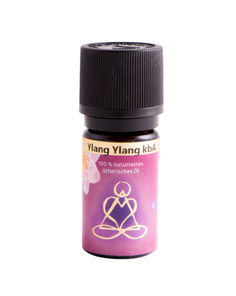 Berk Ylang Ylang, B