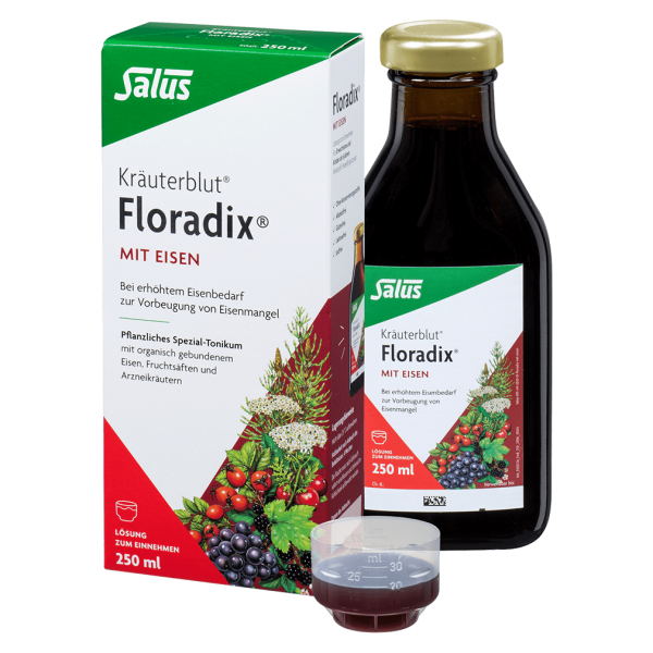 Salus Floradix® Kräuterblut mit Eisen