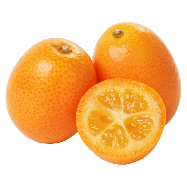 Frischesortiment Bio Kumquat, 1 kg