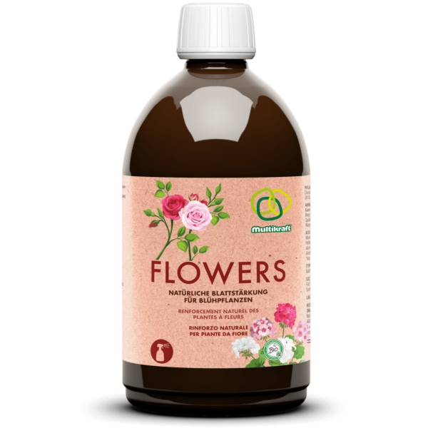 Multikraft Flowers (ehemals Blumengold)