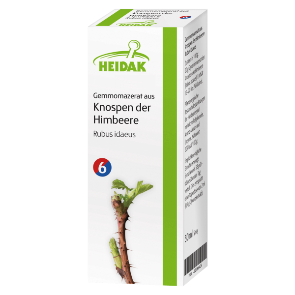 Heidak Gemmomazerat aus Knospen der Himbeere