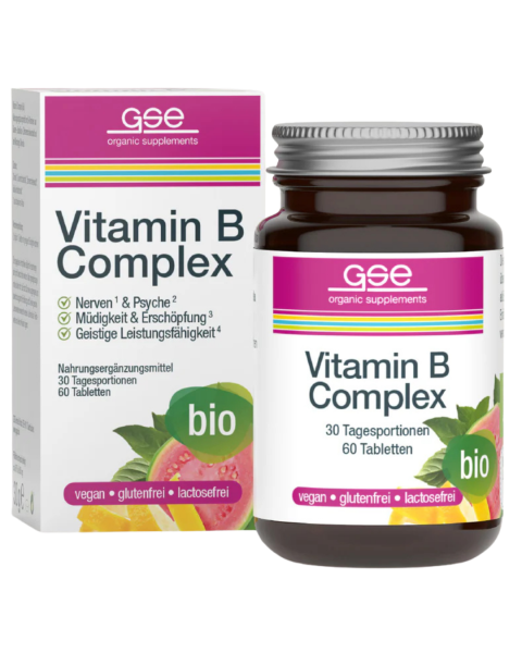 GSE Bio Vitamin B Complex