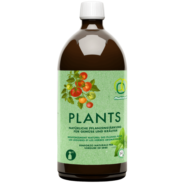 Multikraft Plants (ehemals Blattgold)