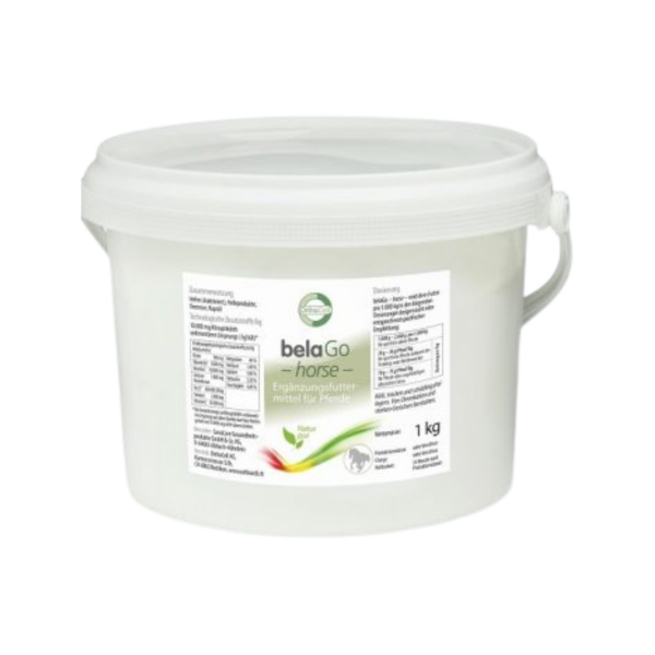 OrthoCell AG belaGo, horse