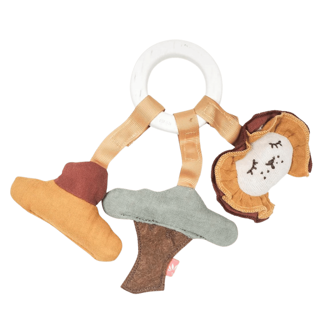 Beißring Löwe Sonnenuntergang