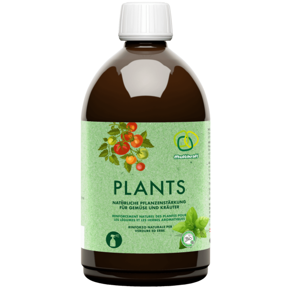 Multikraft Plants (ehemals Blattgold)