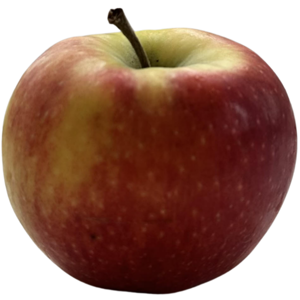 Frischesortiment Demeter Apfel Deichperle, 1 kg