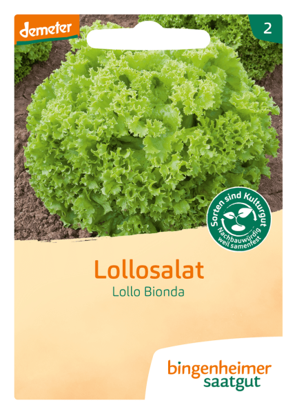 Bingenheimer Saatgut Bio Pflücksalat, Lollo Bionda