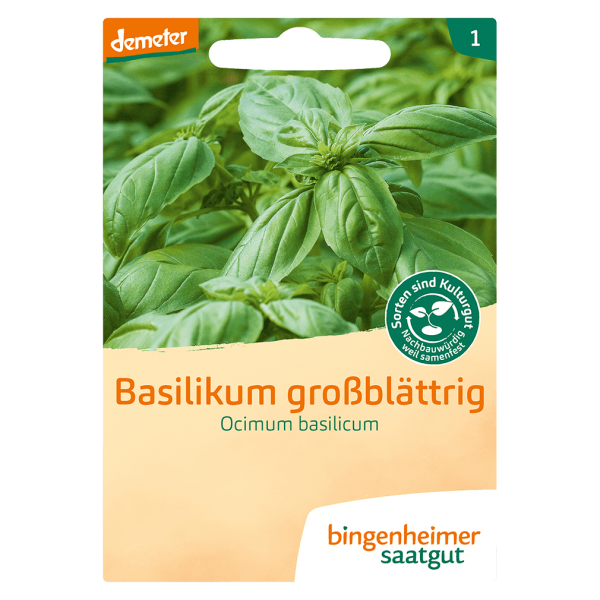 Bingenheimer Saatgut Bio Basilikum großblättrig, Ocimum basilicum