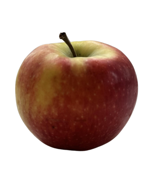 Frischesortiment Demeter Apfel Deichperle, 1 kg