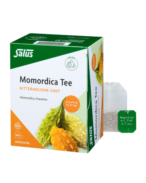 Salus Bio Momordica Tee mit Zimt