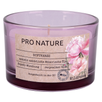 Müller Kerzen Raps-Duftkerze 58x86 mm Müller Kerzen Raps-Duftkerze 58x86 mm