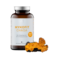 vita7 MYKOFIT® Bio Chaga Kapseln vita7 MYKOFIT® Bio Chaga Kapseln