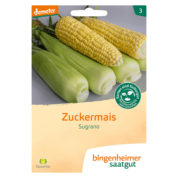 Bingenheimer Saatgut Bio Zuckermais Sugrano